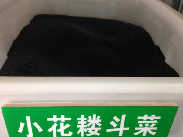 小花耬斗菜.jpg