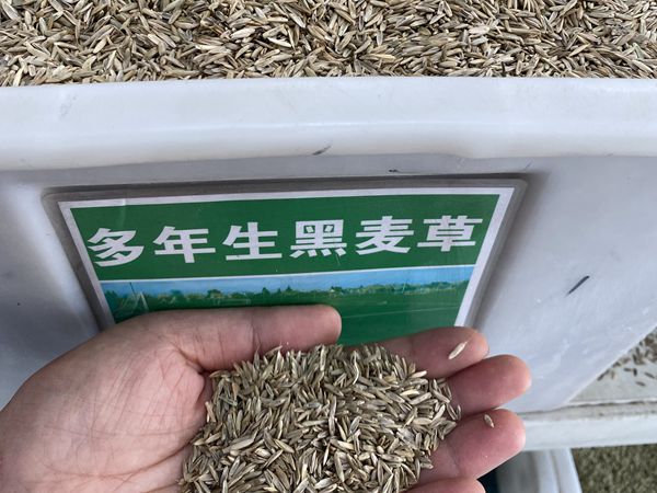 1685611992198762.jpg d.jpg
