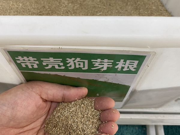 1685778126462783.jpg 種子2.jpg