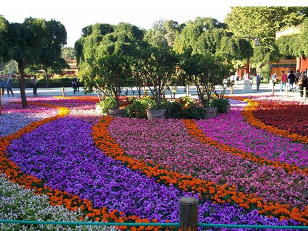 1686376230147113.jpg 花海.jpg