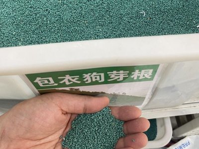 狗牙根會開花嗎？