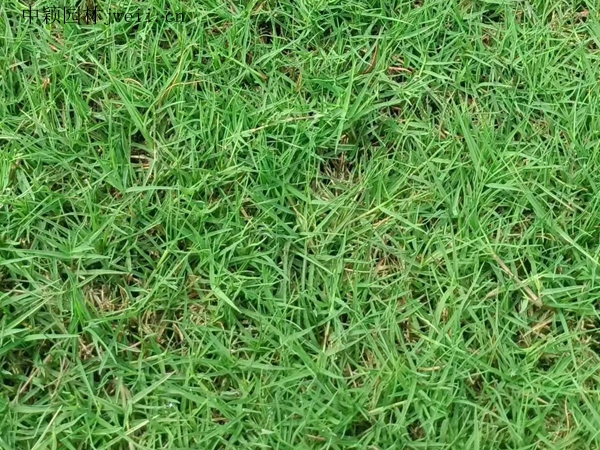 1687260420193594.jpg 微信圖片_20230620191314.jpg
