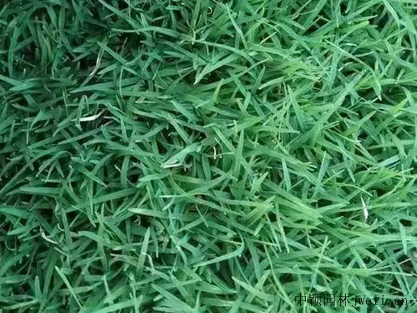 1687333183542212.jpg 微信圖片_20230620191334.jpg