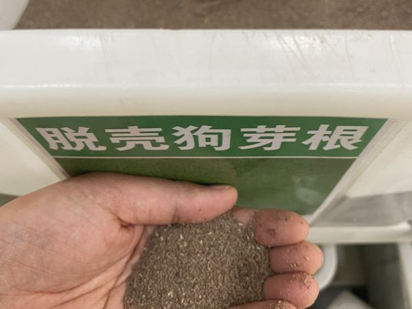 1687333743957555.jpg 種子.jpg
