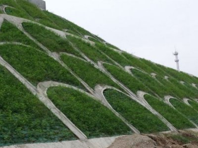 護坡噴播植草造價多少？