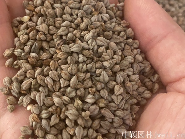 微信圖片_20230813160321.jpg