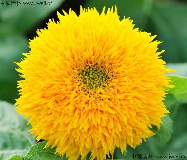 1-1F925145132D1.jpg