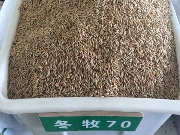 1703657775394887.jpg 10_副本_副本.jpg