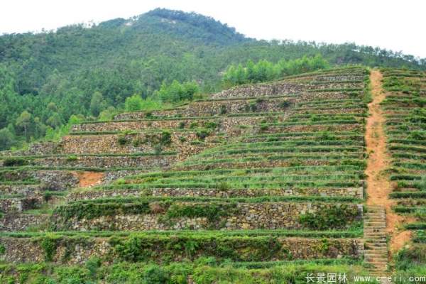 山體邊坡植草護坡綠化圖片 山體邊坡植草護坡綠化圖片
