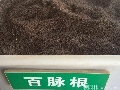 百脈根幾月份播種？